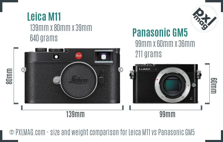 Leica M11 vs Panasonic GM5 size comparison