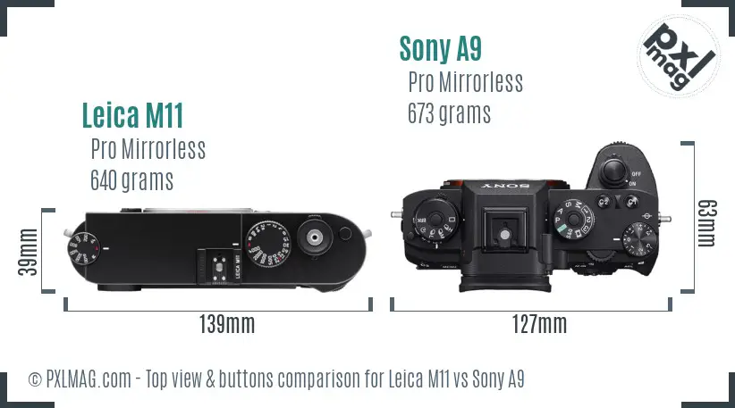 Leica M11 vs Sony A9 top view buttons comparison