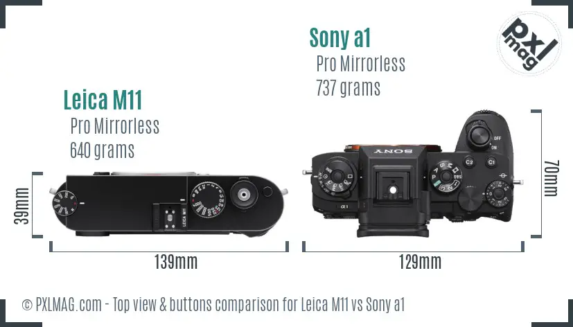 Leica M11 vs Sony a1 top view buttons comparison