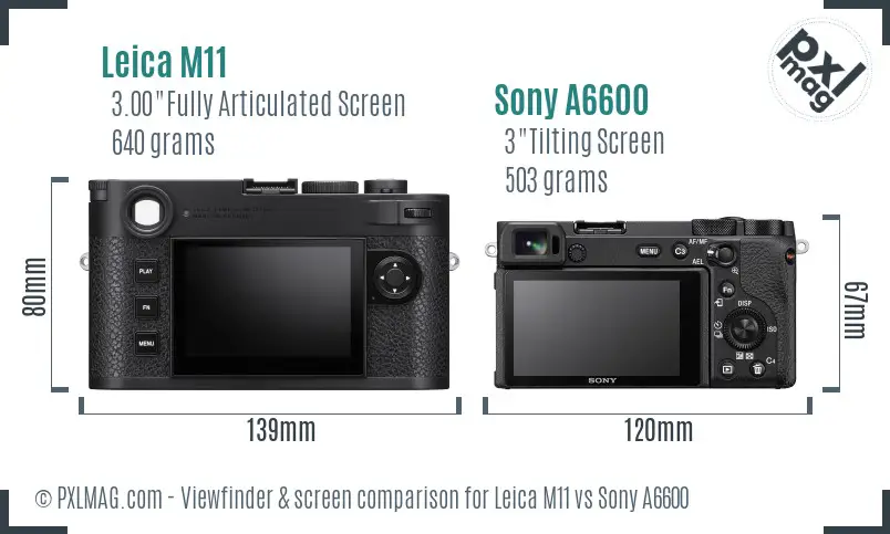 Leica M11 vs Sony A6600 Screen and Viewfinder comparison