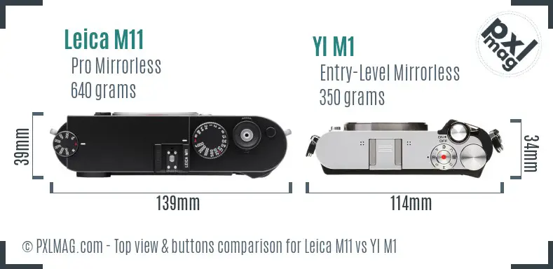 Leica M11 vs YI M1 top view buttons comparison
