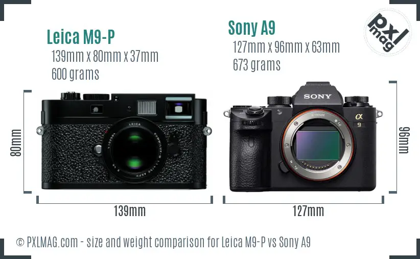 Leica M9-P vs Sony A9 size comparison