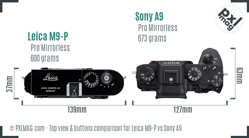 Leica M9-P vs Sony A9 top view buttons comparison