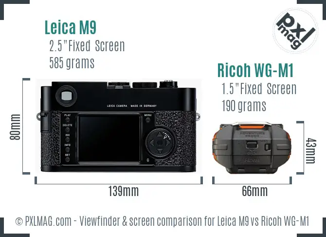 Leica M9 vs Ricoh WG-M1 Screen and Viewfinder comparison