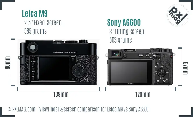 Leica M9 vs Sony A6600 Screen and Viewfinder comparison