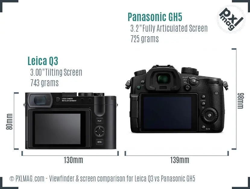 Leica Q3 vs Panasonic GH5 Screen and Viewfinder comparison