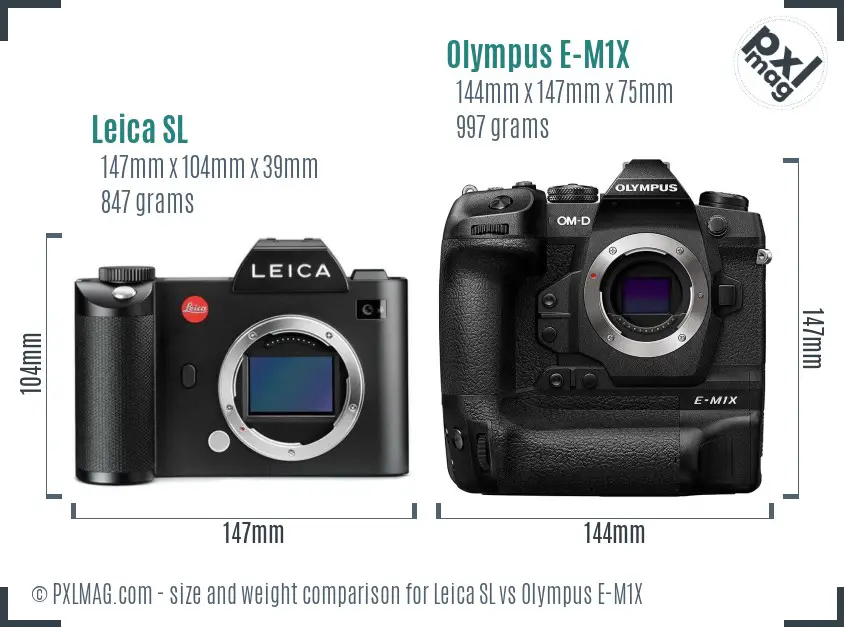 Leica SL vs Olympus E-M1X size comparison