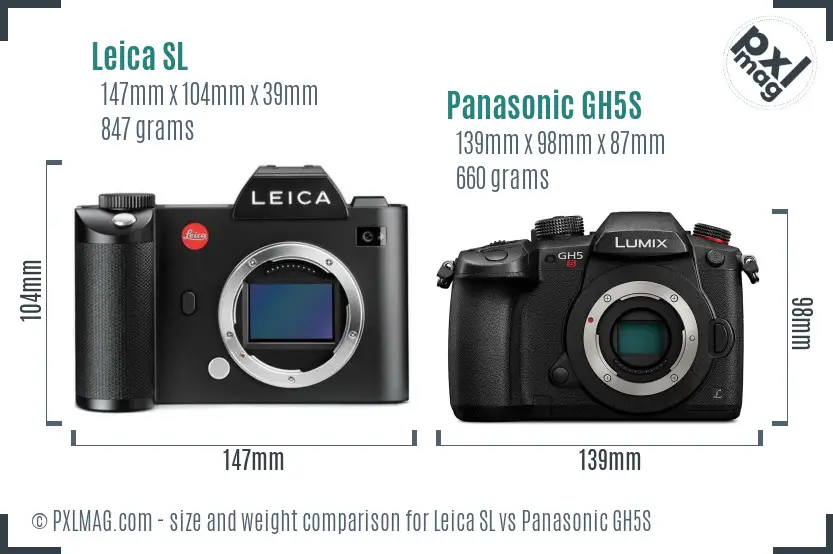 Leica SL vs Panasonic GH5S size comparison