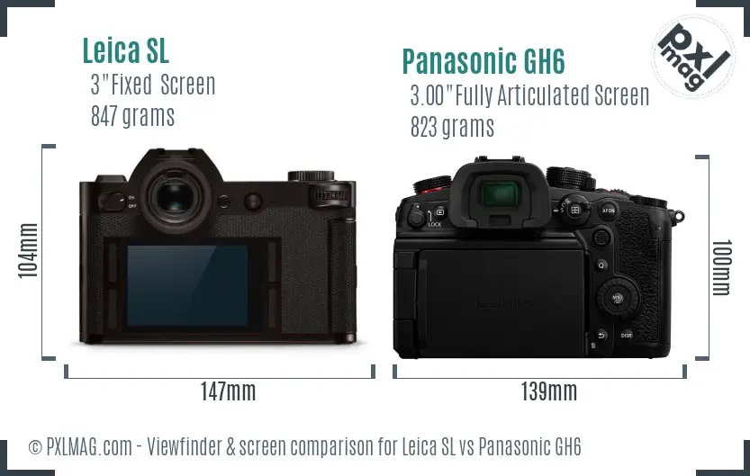 Leica SL vs Panasonic GH6 Screen and Viewfinder comparison