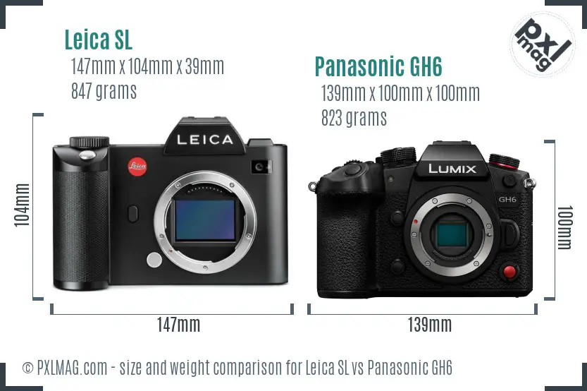 Leica SL vs Panasonic GH6 size comparison