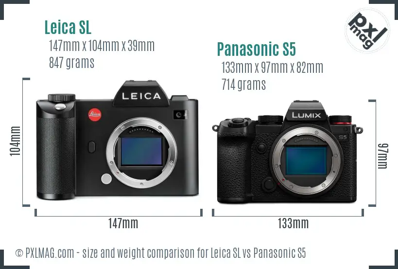 in de rij gaan staan Behandeling hobby Leica SL vs Panasonic S5 Detailed Comparison - PXLMAG.com