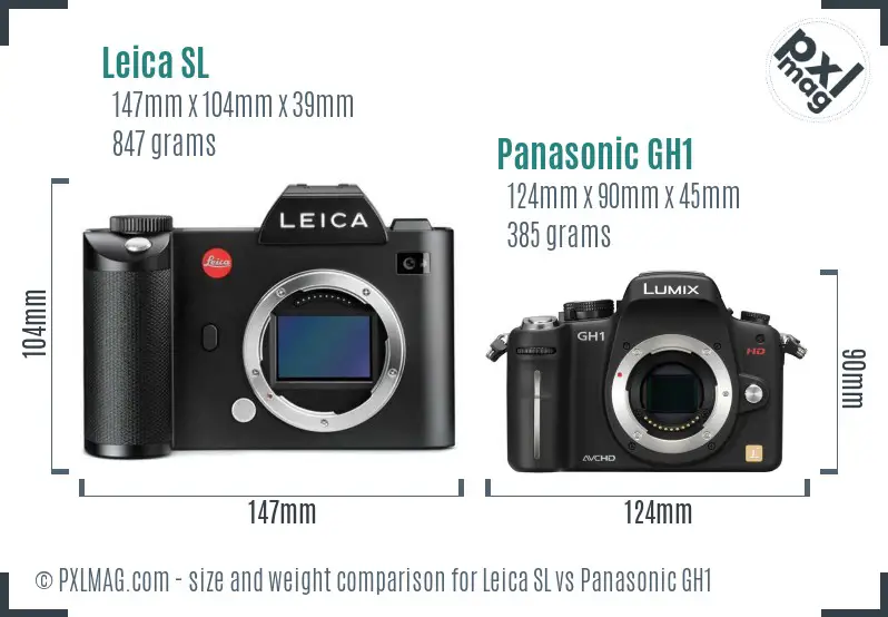Leica SL vs Panasonic GH1 size comparison