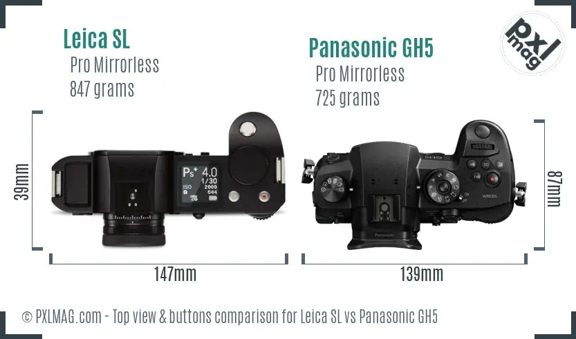 Leica SL vs Panasonic GH5 top view buttons comparison