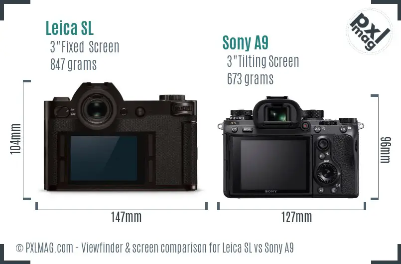 Leica SL vs Sony A9 Screen and Viewfinder comparison