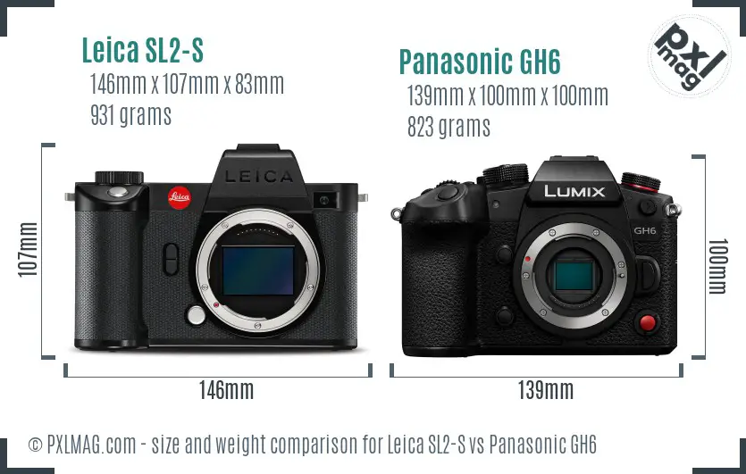 Leica SL2-S vs Panasonic GH6 size comparison