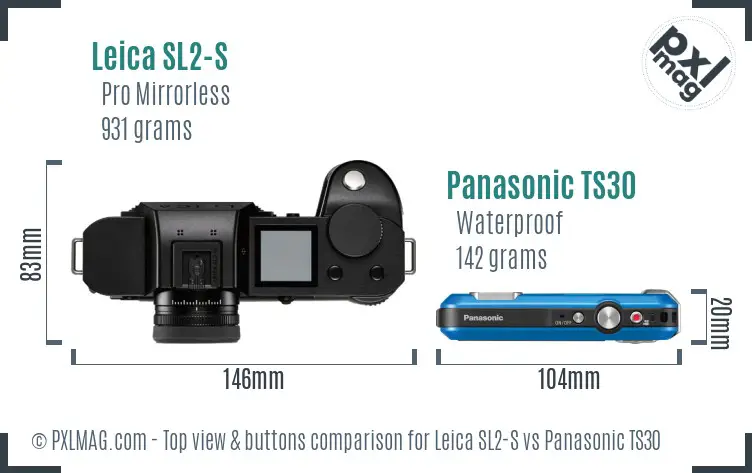 Leica SL2-S vs Panasonic TS30 top view buttons comparison