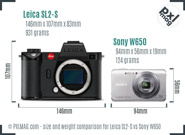 Leica SL2-S vs Sony W650 size comparison