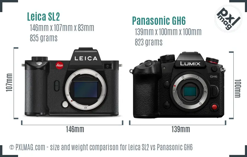 Leica SL2 vs Panasonic GH6 size comparison