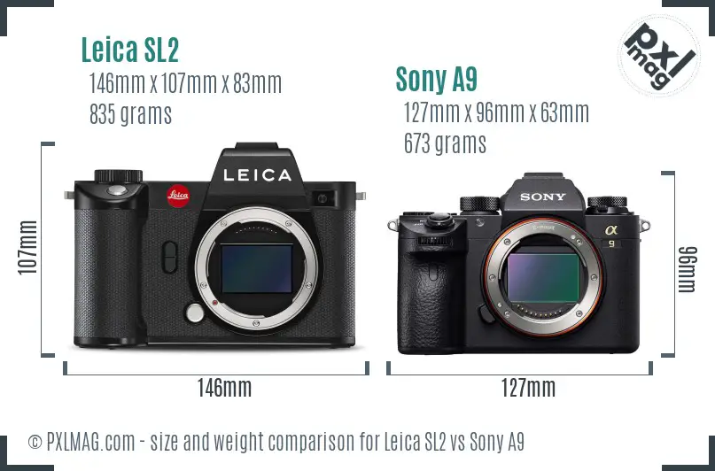 Leica SL2 vs Sony A9 size comparison