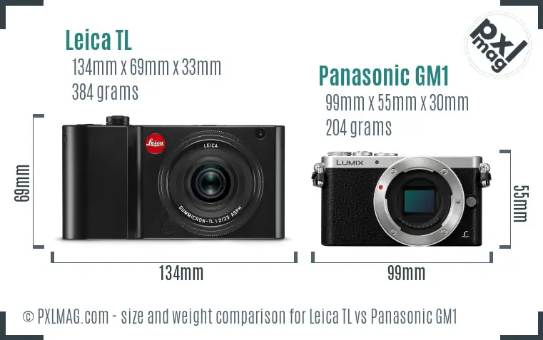 Leica TL vs Panasonic GM1 size comparison