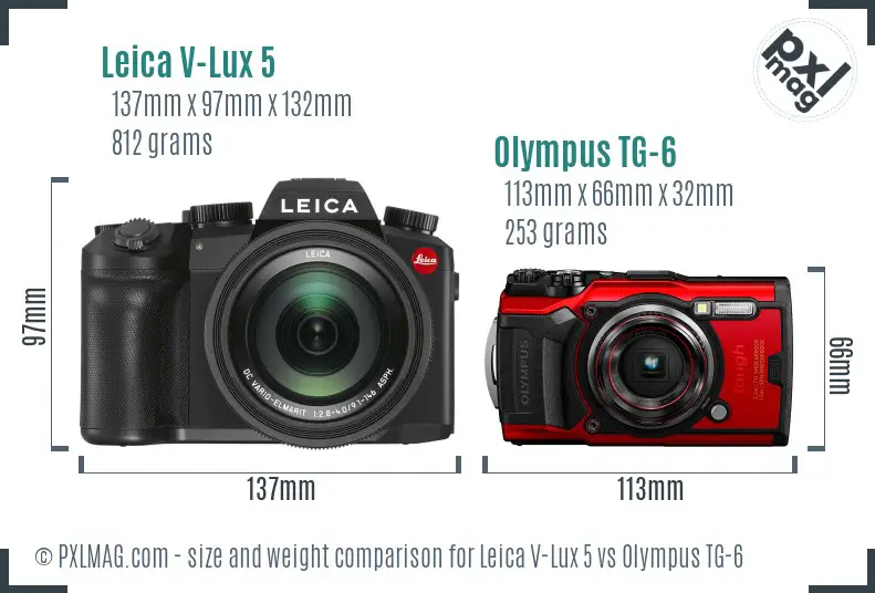 Leica V-Lux 5 vs Olympus TG-6 size comparison