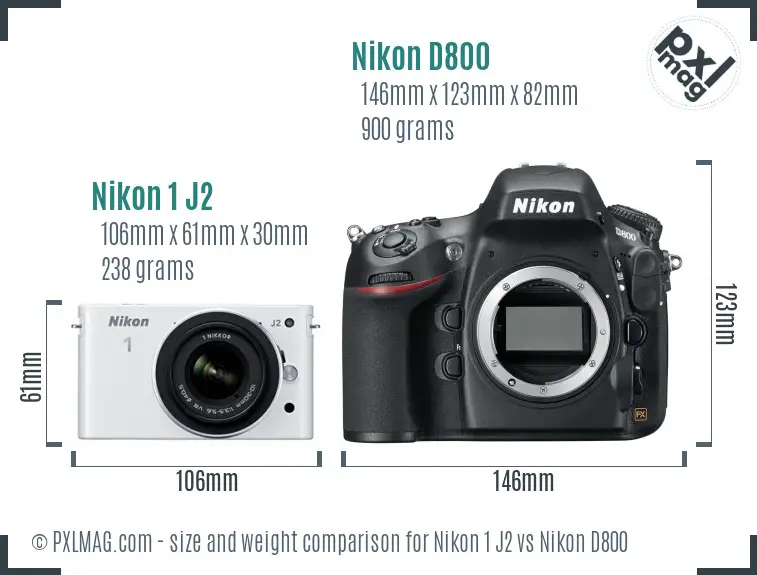 Nikon 1 J2 vs Nikon D800 size comparison