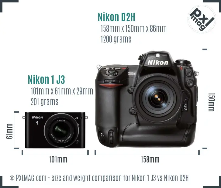 Nikon 1 J3 vs Nikon D2H size comparison