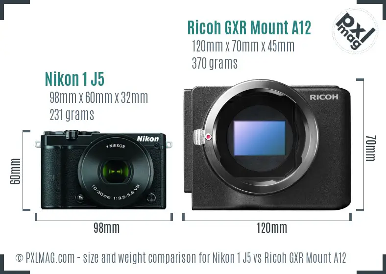 Nikon 1 J5 vs Ricoh GXR Mount A12 size comparison Nikon 1 J5 vs Ricoh GXR Mount A12 size comparison
