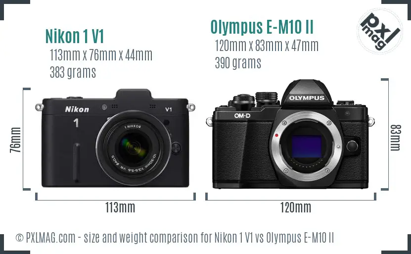 Nikon 1 V1 vs Olympus E-M10 II size comparison