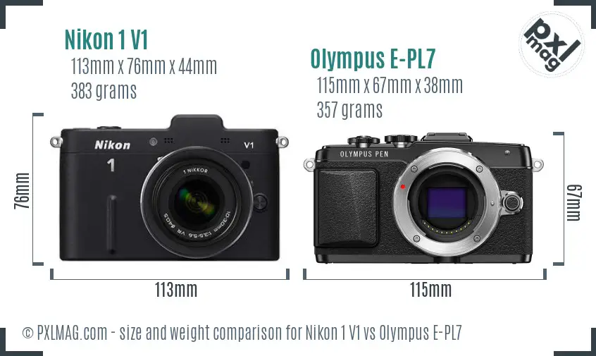 Nikon 1 V1 vs Olympus E-PL7 size comparison