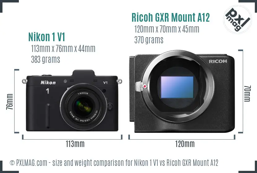 Nikon 1 V1 vs Ricoh GXR Mount A12 size comparison