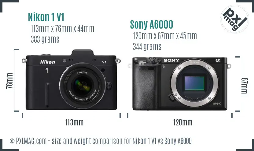 Nikon 1 V1 vs Sony A6000 size comparison