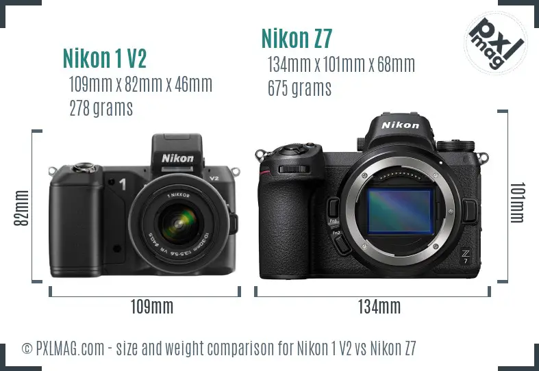Nikon 1 V2 vs Nikon Z7 size comparison