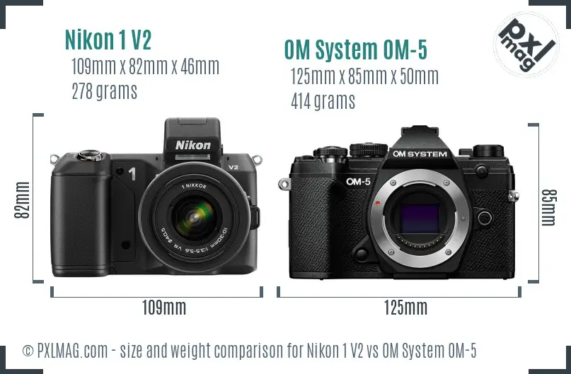 Nikon 1 V2 vs OM System OM-5 size comparison