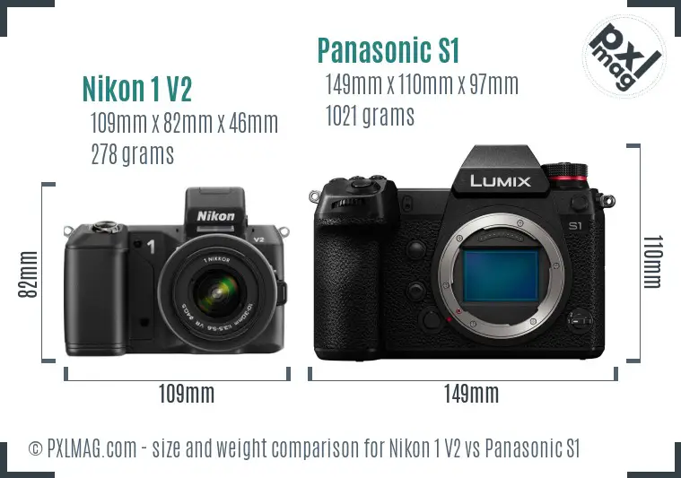 Nikon 1 V2 vs Panasonic S1 size comparison