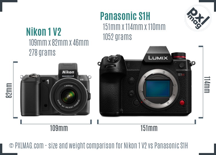 Nikon 1 V2 vs Panasonic S1H size comparison