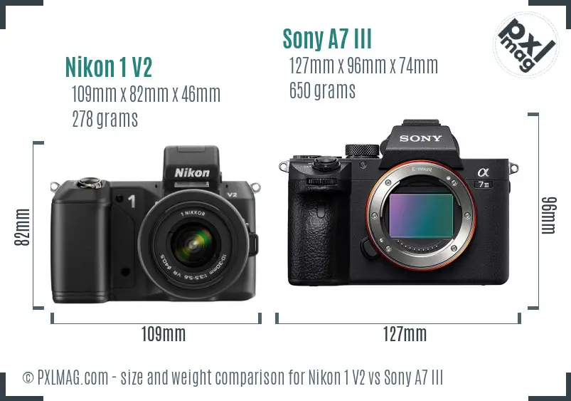 Nikon 1 V2 vs Sony A7 III size comparison