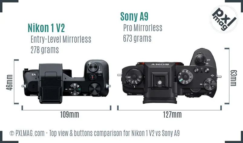 Nikon 1 V2 vs Sony A9 top view buttons comparison