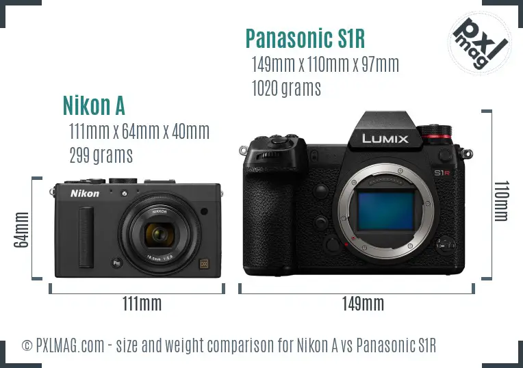 Nikon A vs Panasonic S1R size comparison