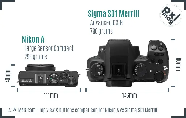 Nikon A vs Sigma SD1 Merrill top view buttons comparison