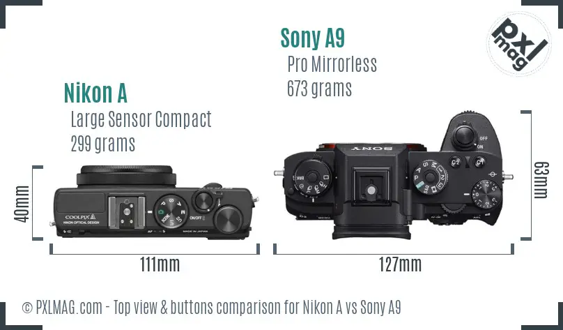 Nikon A vs Sony A9 top view buttons comparison