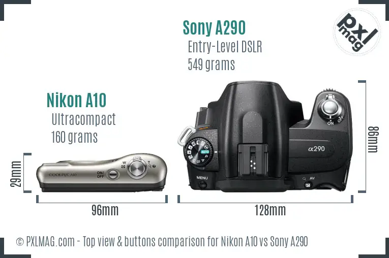 Nikon A10 vs Sony A290 top view buttons comparison