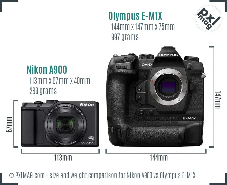Nikon A900 vs Olympus E-M1X size comparison