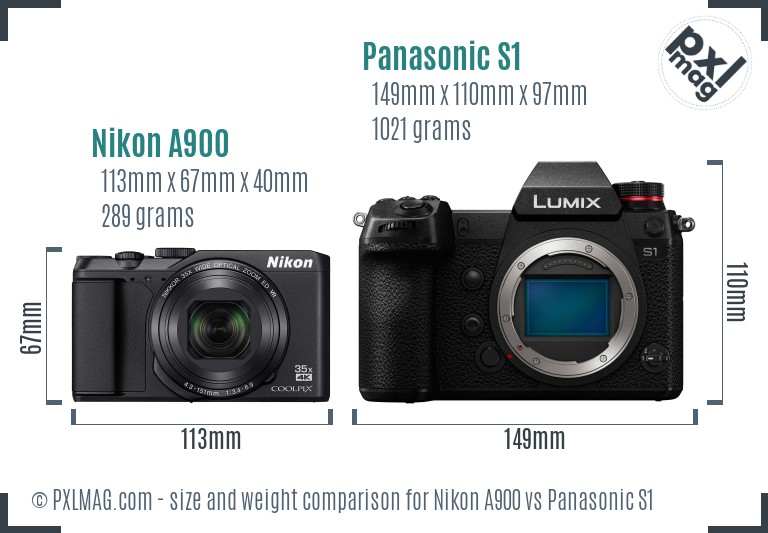 Nikon A900 vs Panasonic S1 size comparison Nikon A900 vs Panasonic S1 size comparison