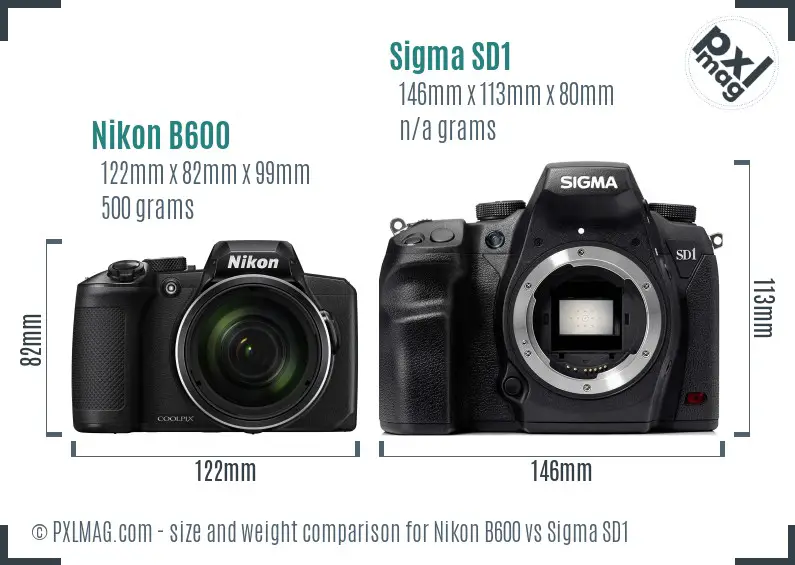 Nikon B600 vs Sigma SD1 size comparison