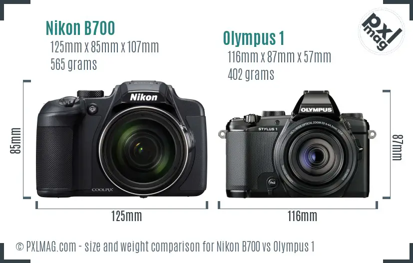 Nikon B700 vs Olympus 1 size comparison