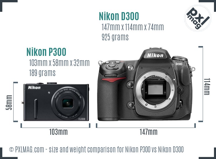 Nikon P300 vs Nikon D300 In Depth Comparison - PXLMAG.com