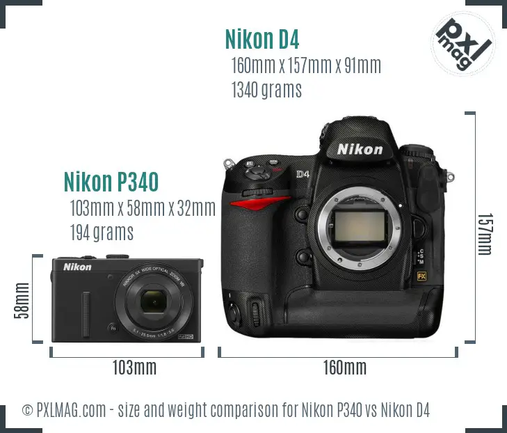 Nikon P340 vs Nikon D4 size comparison Nikon P340 vs Nikon D4 size comparison