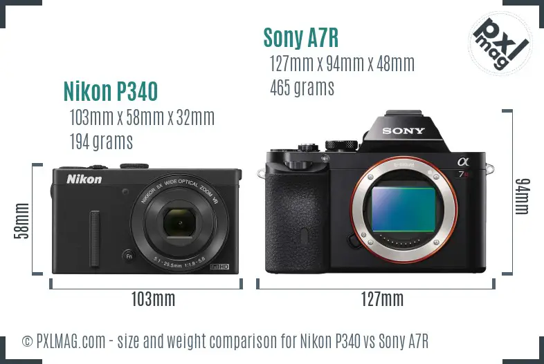 Nikon P340 vs Sony A7R size comparison