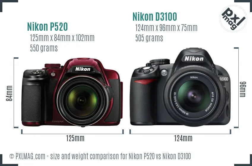 Nikon P520 vs Nikon D3100 size comparison